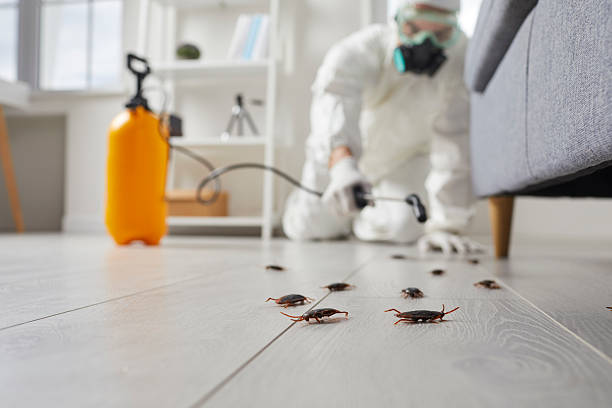 Trusted Fumigation Services service in Piedmont, SC - Nex Pest Control